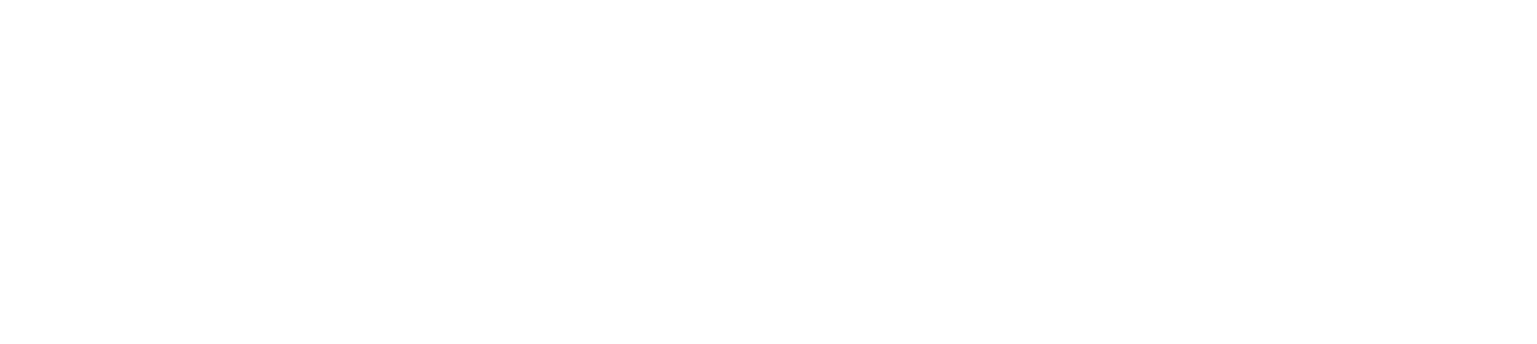 Suraxa Safe Lockers